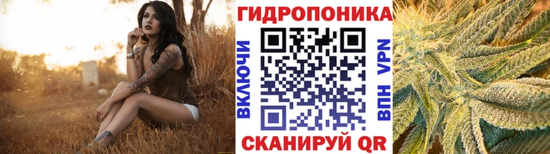 Канабис гибрид  Купить закладки  Ступино 